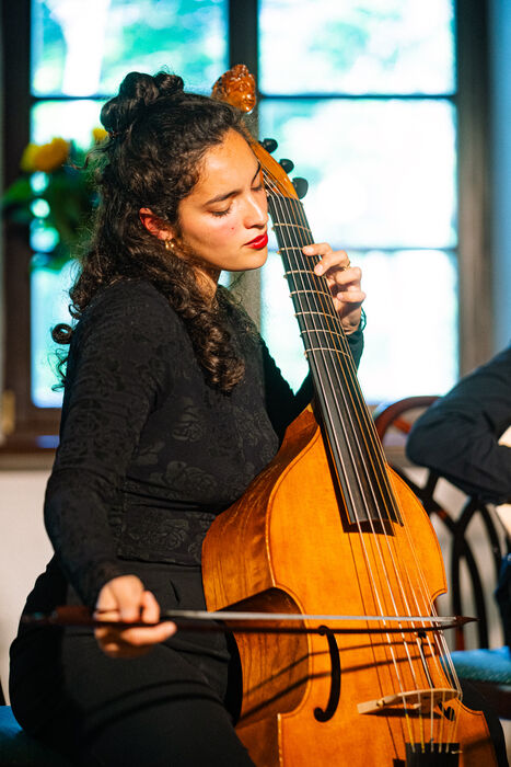 Viola da gamba