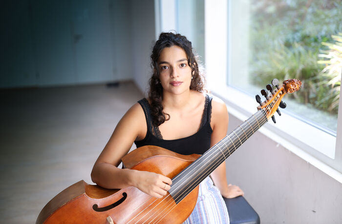 Viola da gamba