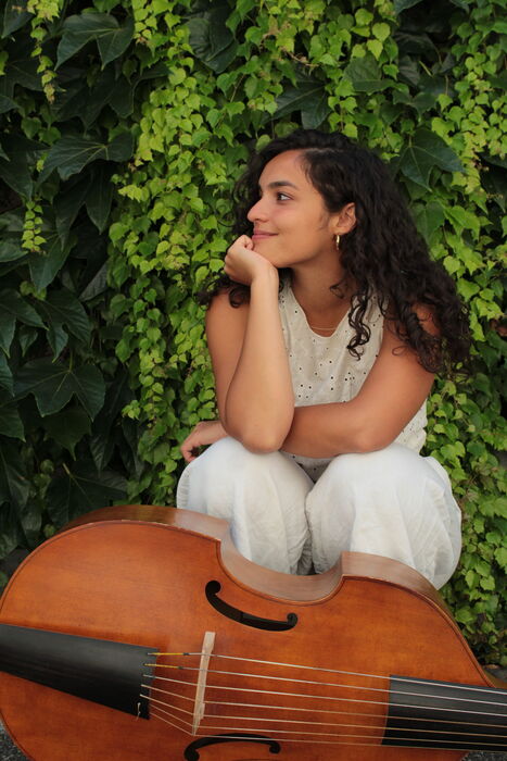 Viola da gamba