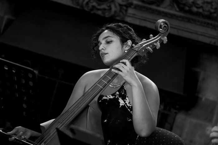 Viola da gamba