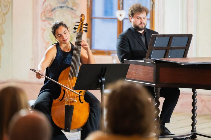 Viola da gamba